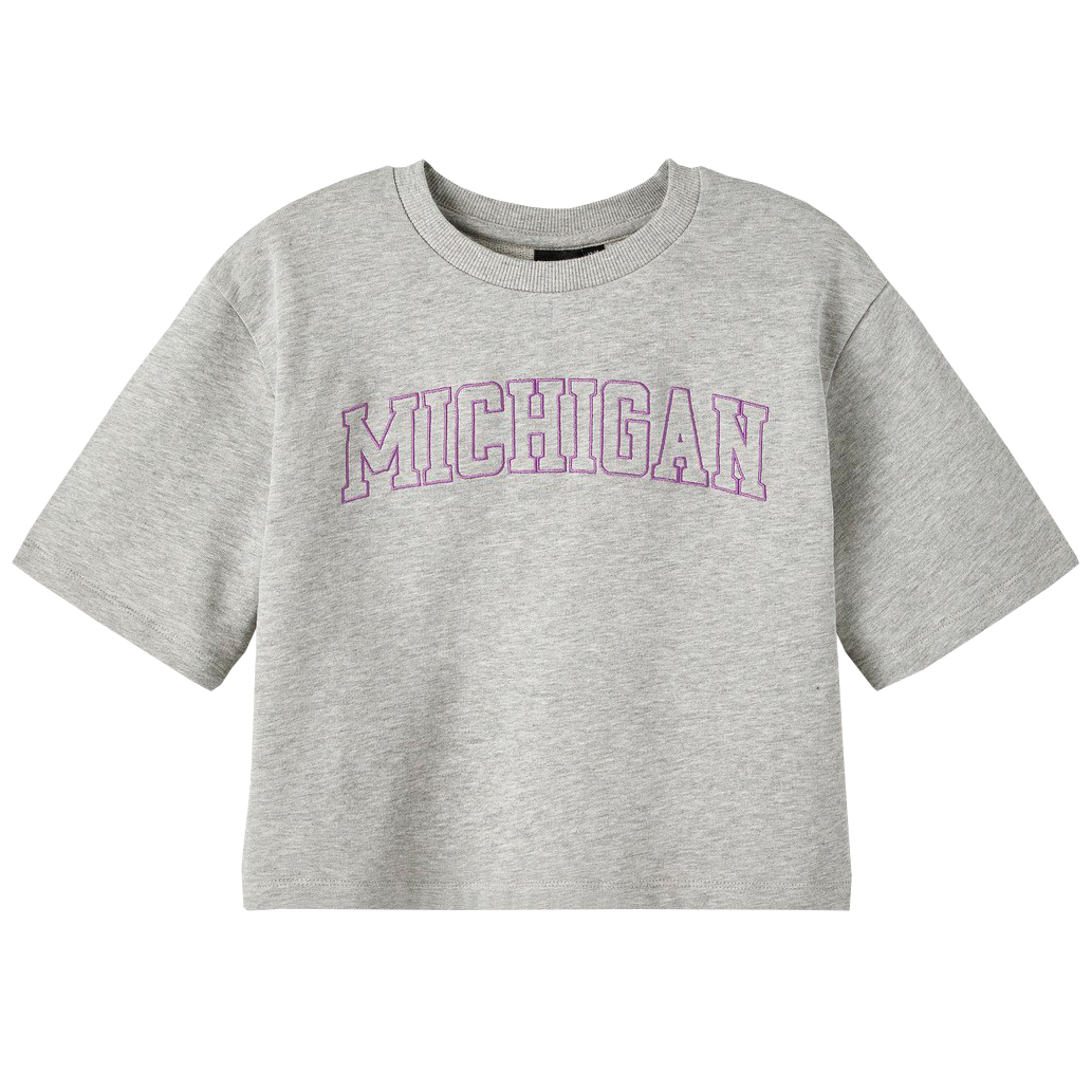 LMTD Pige T-shirt i økologisk bomuld - Grey Melange