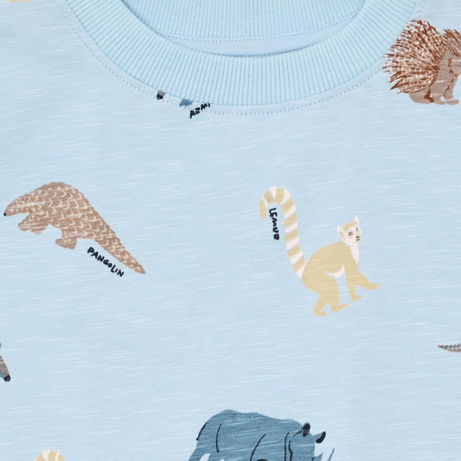 Minymo Drenge T-shirt i økologisk bomuld - Niagara Mist