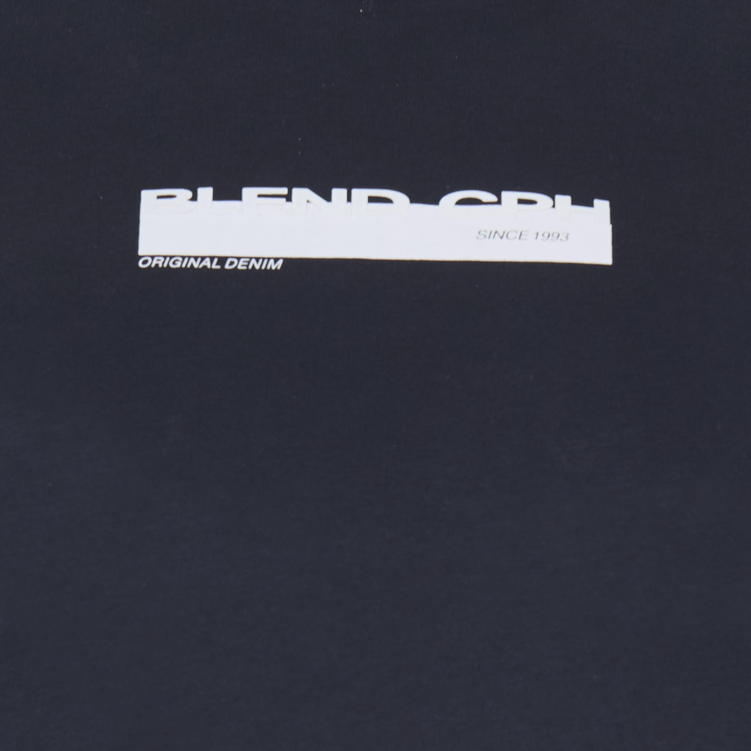 Blend Herre T-shirt - SALUTE