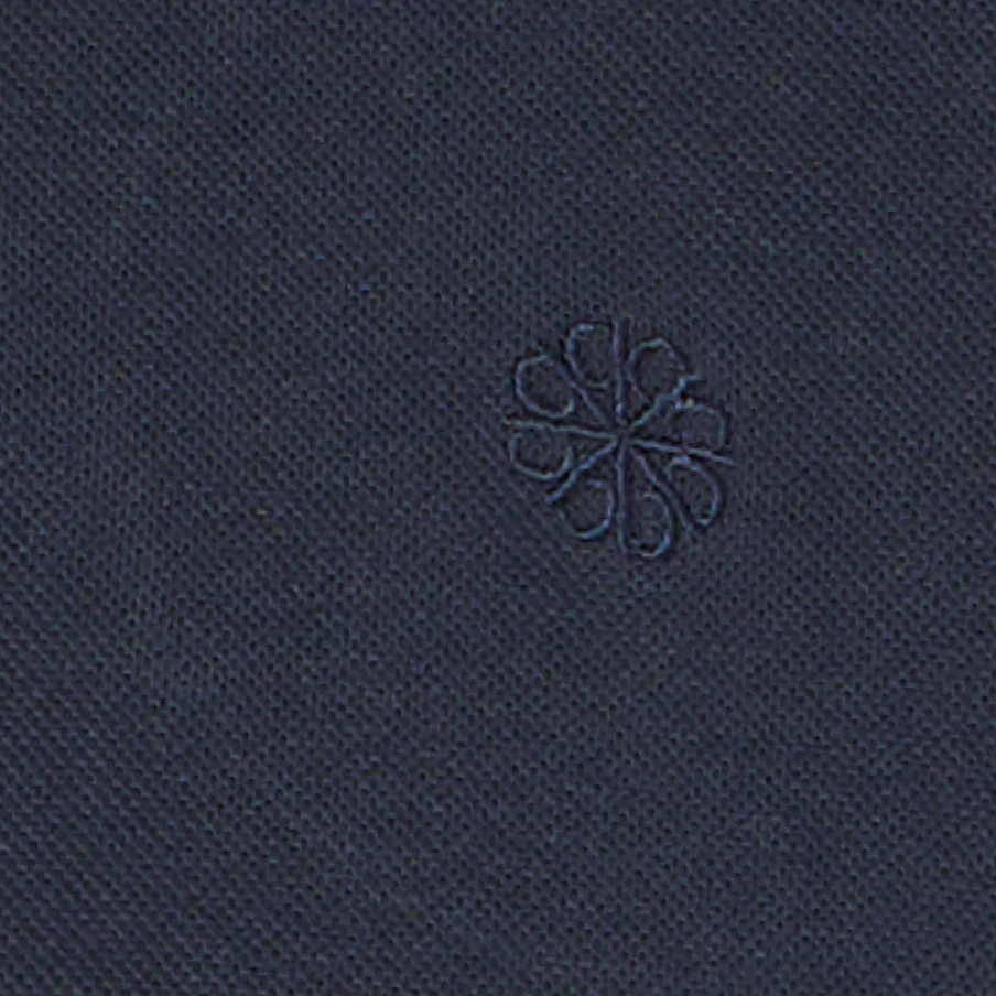 Blend Edin Herre Polo - Salute