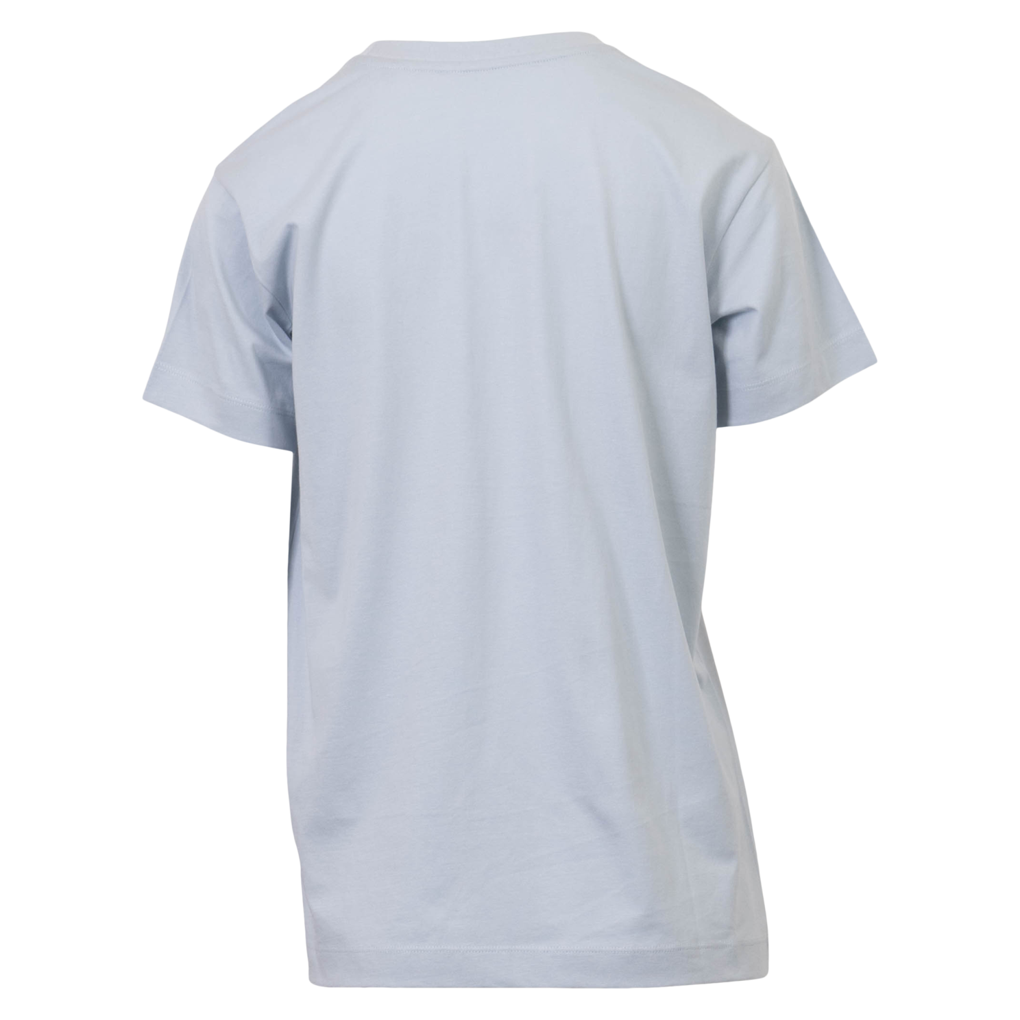 Steenholt Ass Dame T-shirt - P3 NIAGARA MIST