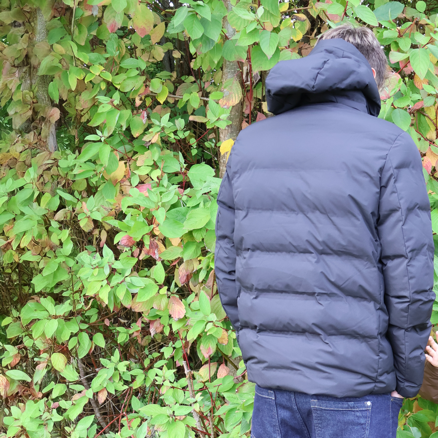 Nordic Project 18 Halifax Herre Vinterjakke - METEORITE