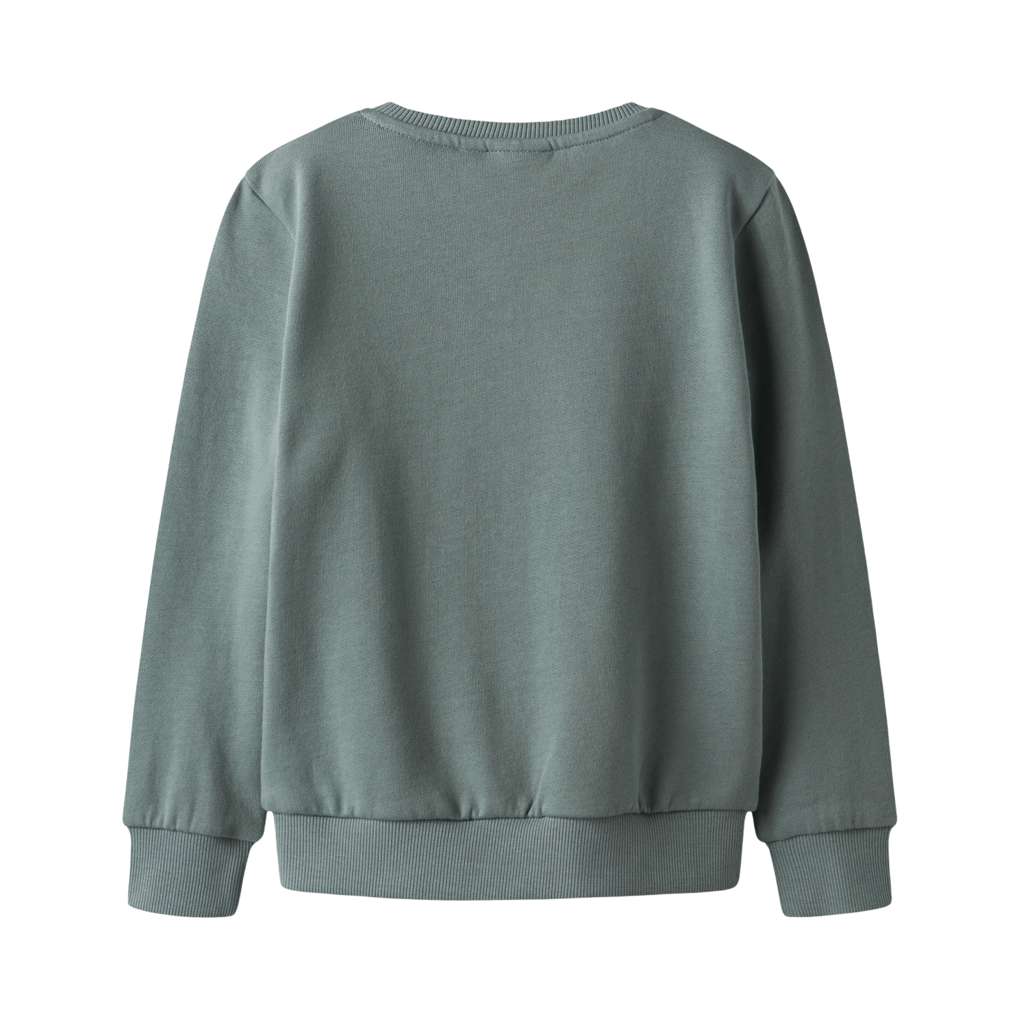 Guppy Raymond Drenge Sweatshirt - Trooper