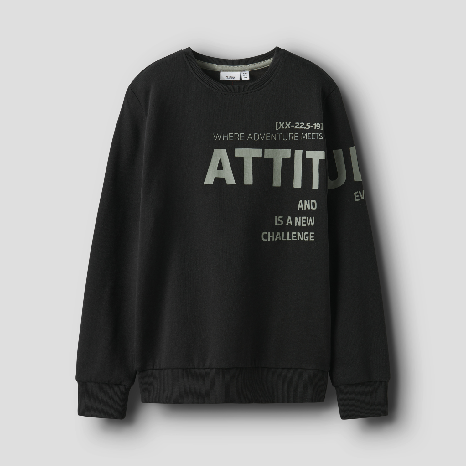 Guppy Rio Drenge Sweatshirt - Black