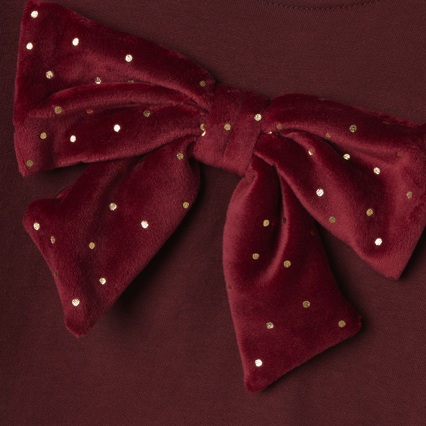 Guppy Ria Pige Sweatshirt - Cabernet