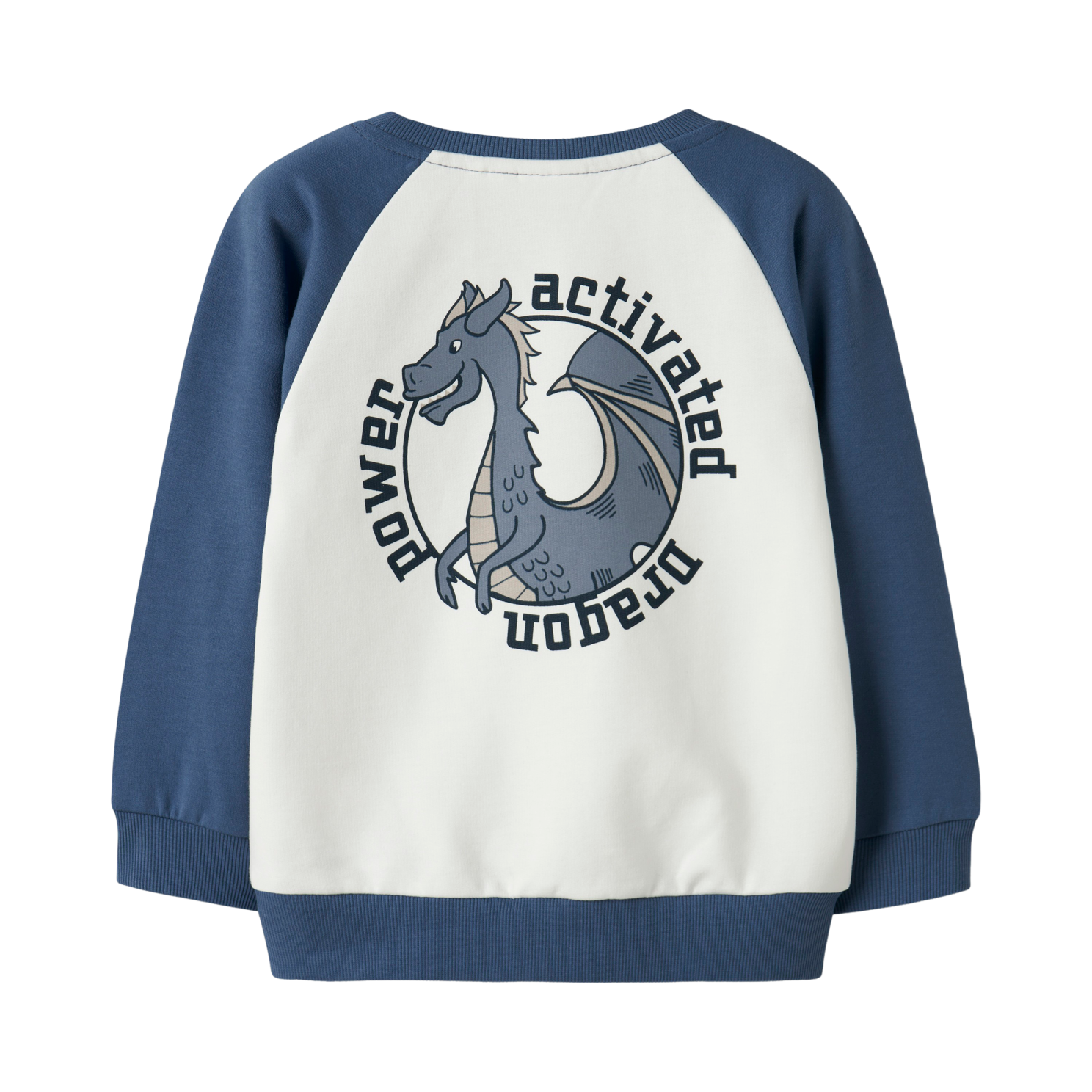 Guppy Dustin Drenge Sweatshirt - Bijou Blue