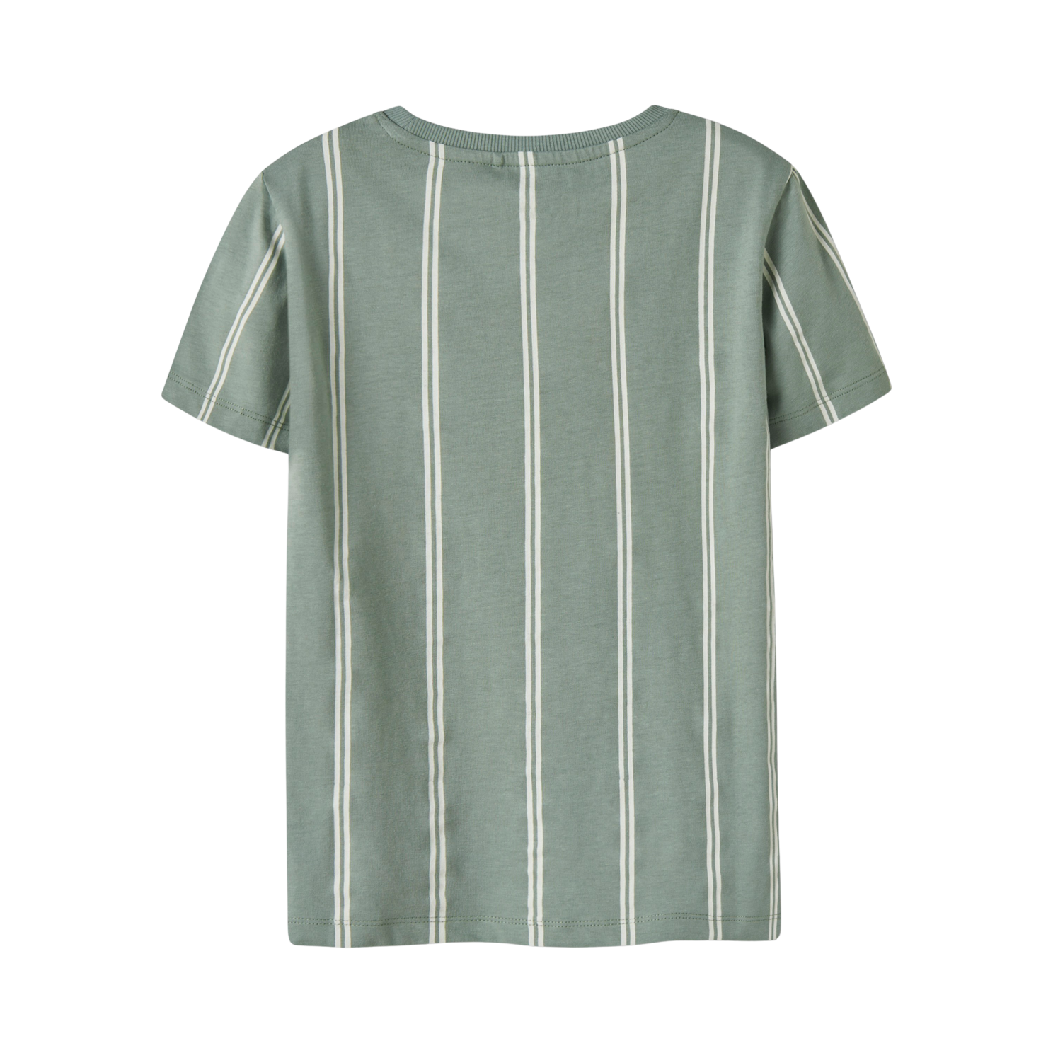Guppy Fintan Drenge T-shirt - Slate Gray