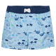 Color Kids Drenge Badeshorts - Cerulean
